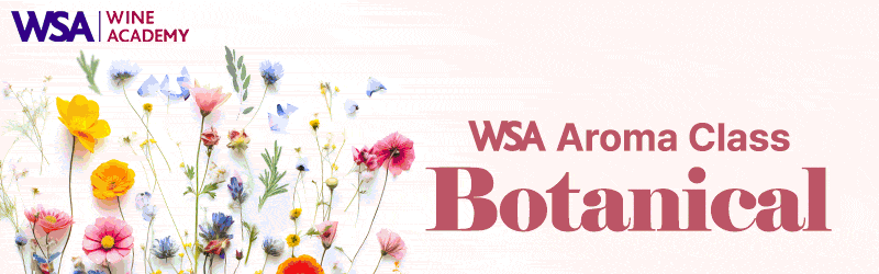 WSA 광고