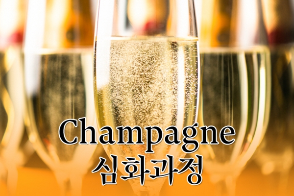 2/11(화) Champagne 심화과정